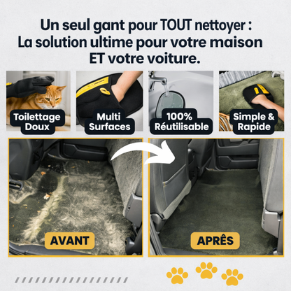 PETLYT™ Gant Anti-Poils